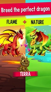 Evolve your dragons for every battle to crush all the enemies! 👾 💥 | Dragon City