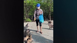 Apen Ontspannen en Tijd Samen Doorbrengen