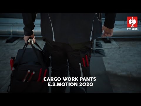 STRAUSS e.s.motion 2020 Work Pants — Engineered for movement, built for the job