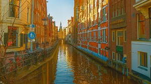 Is This the Most Peaceful Winter Walk in Amsterdam?