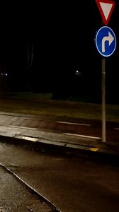 😱 Dit zijn beelden van de eerste wolf in Vlaams-Brabant in 200 jaar 😱 👉 Het dier is op 30 december gespot aan het Researchpark in Haasrode en verdween nadien in de richting van de Ambachtenlaan en Heverleebos. Meer info: https://buff.ly/3AduGVj BEELD: Welkom Wolf | ROBtv