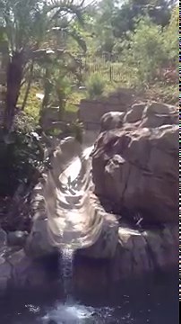 The 10 all-time best ‘Real Housewives’ husbands