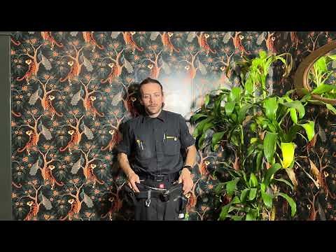 The Perfect Work Pants - Engelbert Strauss