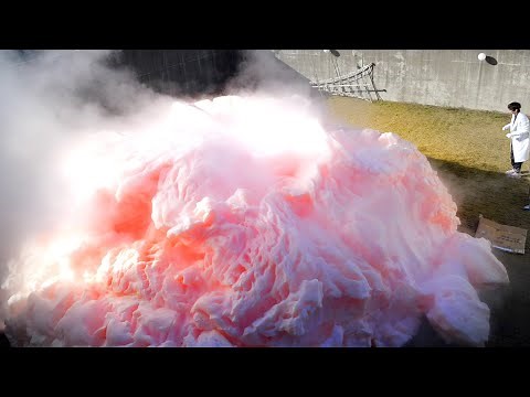 3億円の家で200リットルの危険な液体で実験したら庭が終わりました。