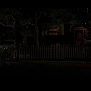 Mark Harmon Family on Reels