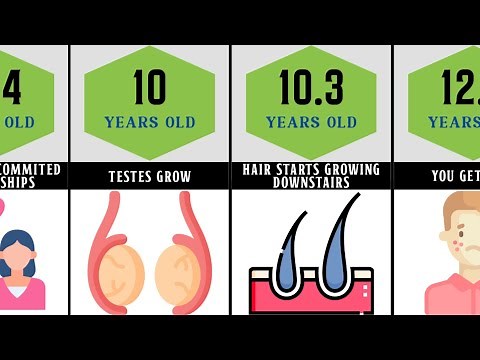 Timeline: Male Puberty Explain