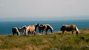 Quebec Road Trip Part 5 - Saint-Simeon To Grande Bergeronne - Part 1 Of 2