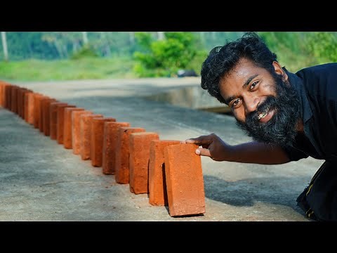 Domino Brick Experiment | M4 TECH |