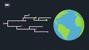 Het coronavirus dat nu in Nederland huishoudt is niet meer hetzelfde als die van begin dit jaar uit Wuhan. Hoe zit dat? | NU.nl