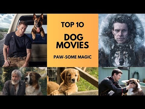 Top 10 Best Dog Movies | Main Character | Must Watch List