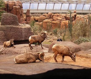 Royal Burgers' Zoo - Alchetron, The Free Social Encyclopedia