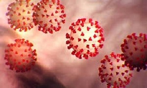 Coronavirus Live Updates le Map | Save A Terene