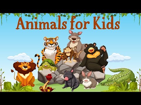 Animals for Kids to Learn - 50 Animals for Kids, Toddlers and Babies in English | Educational Video