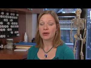 Understanding Massage Techniques