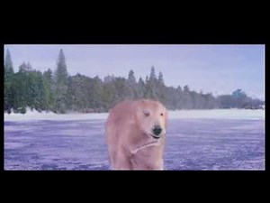 Entertainment Teaser 4