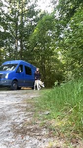 Wandel je graag met je hond door de natuur? Dan is CANIWALK een leuke activiteit voor jullie! Dat is écht GENIETEN! Het is vergelijkbaar met canicross, maar dan wandelend. Het (lange afstand) wandelen wordt ook wel dogtrekking of hiken genoemd. Ga lekker op pad in een natuurgebied in je regio of ga op avontuur in het buitenland! Meer info vind je op rundog.nl 🐕—🚶🏼‍♂️ #rundog #rundogacademy #caniwalk #dogwalk #dogtrekking #hikenmetjehond #wandelenmetjehond #outdoordog | Run Dog