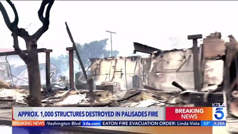 Daylight shows extent of devastation from the Palisades Fire
