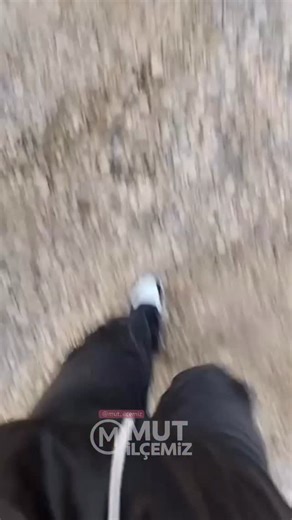 MUT~ MERSİN on Instagram: "Mut’ta Öğrenciden Bayrağa Duyarlı Davranış Mersin’in Mut ilçesinde Mut Belediyesi Düğün Salonu önünde yarısı yanmış halde yerde bulunan Türk bayrağını fark eden Şehit Ahmet Ersoy Ortaokulu öğrencisi Merve Naz Afacan, bayrağı yerden kaldırarak duvara koydu. Öğrencinin bu hassas davranışı çevrede duygulu anlar yaşattı ve takdir topladı. . #mersin #yörük"