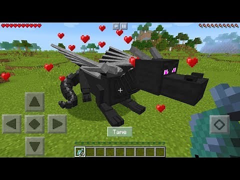 How To TAME a DRAGON in Minecraft!