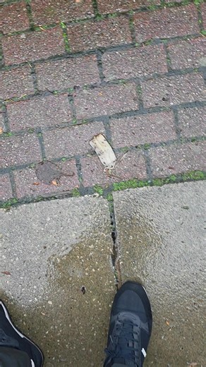 A walk in Wallasey from St james road New brighton to Earlston,via Seabank road and Mount pleasent road 👌❤️#fyp #love #walk #wallasey #explorer