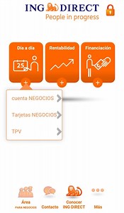 Ing Direct Prestamo Negocios