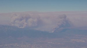 Wildfires Devastate Los Angeles: Pacific Palisades, Pasadena, and Hollywood Hills in Flames