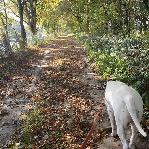 Nederland anno 2025 | Mirjam Logger