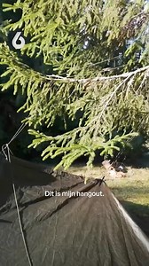 Een kijkje achter de schermen in het kamp van Suzanne! 🤳 #nowaybackvips | SBS 6