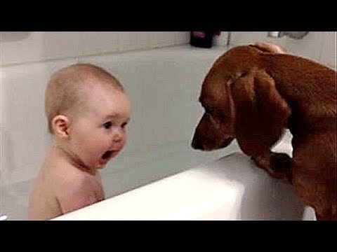 FUNNY BABY & KID VIDEOS that will make you LAUGH & HAPPY - Funny & cute compilation