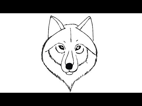 How to draw a Wolf's Head - easy step by step tutorial for beginners