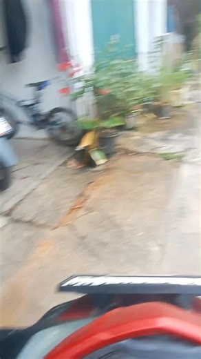 Lanjut 28.10.25 | Warni