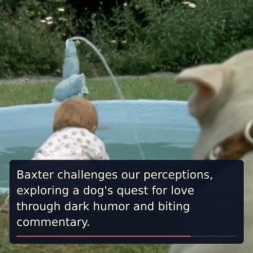 Top 15 Unforgettable Dog Movies That Define Loyalty