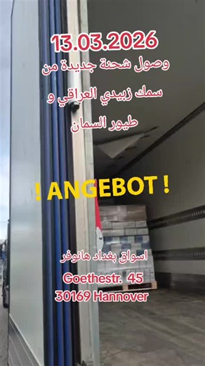 New Shipment of Iraqi Zubidi Fish and Quail in Hannover