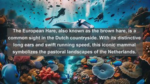 Exploring Dutch Wildlife: Top 10 Native Animals You Didnt Know Existed!