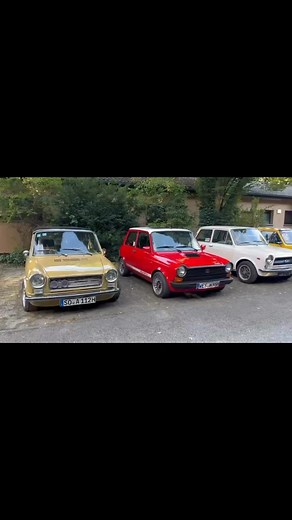 Autobianchi Club Nederland on Reels