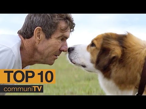 Top 10 Dog Movies