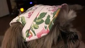 Crafty Morning on Reels