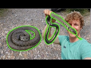 SUPER GROTE SLANG IN NEDERLAND! - VLOG # 35