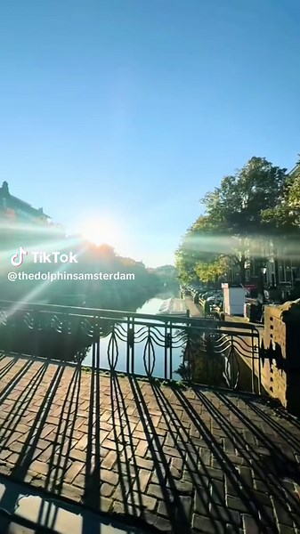 Discover Amsterdam's Best Coffee Shops for Summer 2025