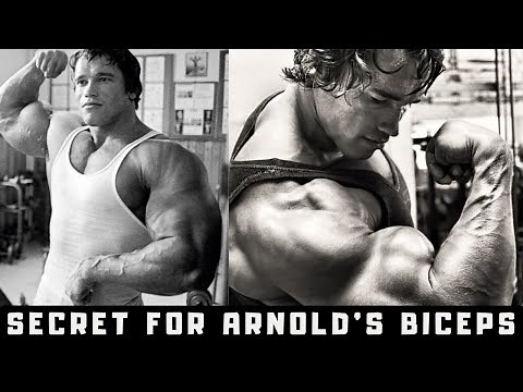 Shocking Revelation: How Arnold Schwarzenegger Built His Iconic Biceps!