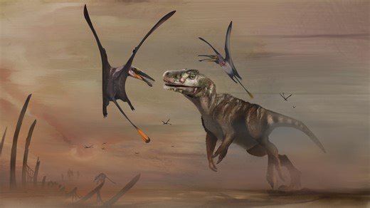 Paleontologists Find Largest Jurassic Pterosaur Fossil Eroding on a Scottish Beach