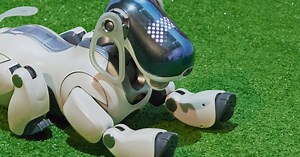 Entertainment Robots: Types & Uses