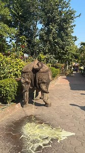 🤣😂 | OLD Entertainment