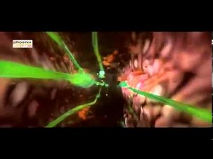 Die giftigsten Tiere der Welt Doku über giftige Tiere Teil 2