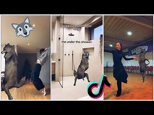 🐺 Dancing Wolf Meme 💃 Ich Will Nicht 🕺 Tiktok Compilation 🎵