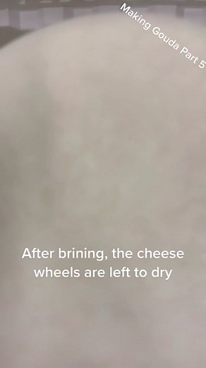 How to Make Gouda Cheese at Home: Step-by-Step Guide