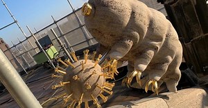 Arno Coenen geeft uitleg over beerdiertje en spermacel in lichtkunst op de Eusebiuskerk