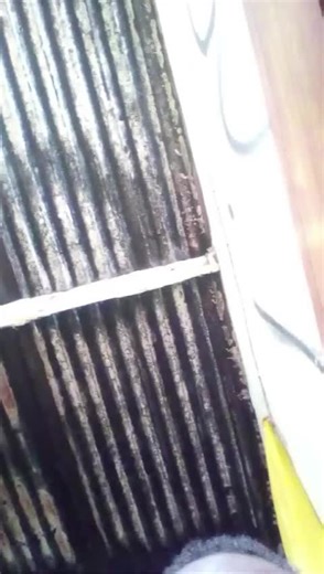 nanadonana4 (@nanadonana4)’s videos with som original - Leonildo Bumba Hd-Oficial