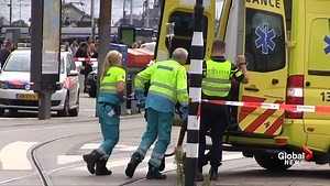 Amsterdam police shoot, wound stabbing suspect