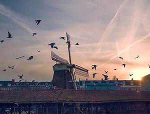 Nederlands voor Vergevorderden | Kleinschalig & interactief leren